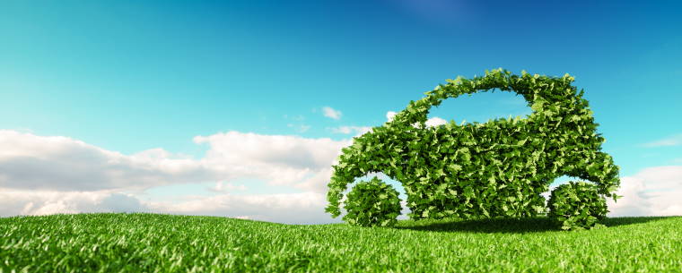 Car made out of leaves