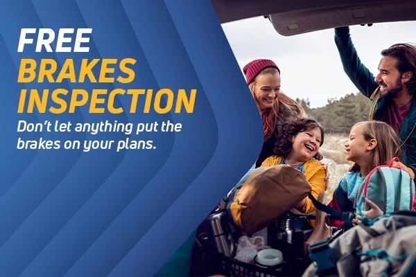 Free Brake Safety Check